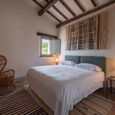 Locanda Fontelupa Campagnatico ห้อง รูปภาพ